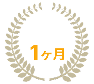 開発期間最短1ヶ月