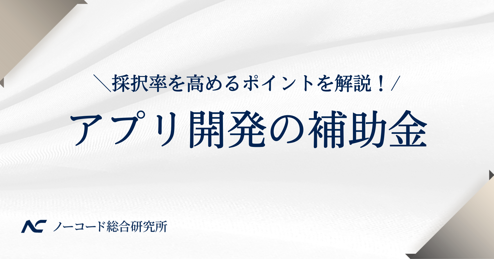 アプリ開発　補助金