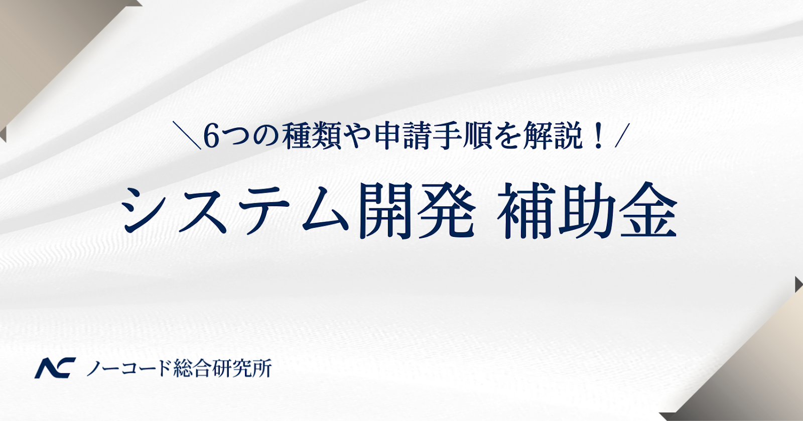 システム開発　補助金