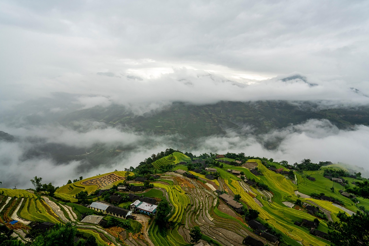 導入プロセスのステップ図